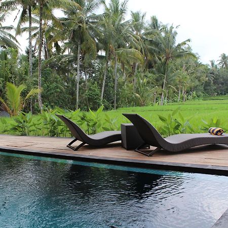 Manyi Village Ubud Eksteriør billede