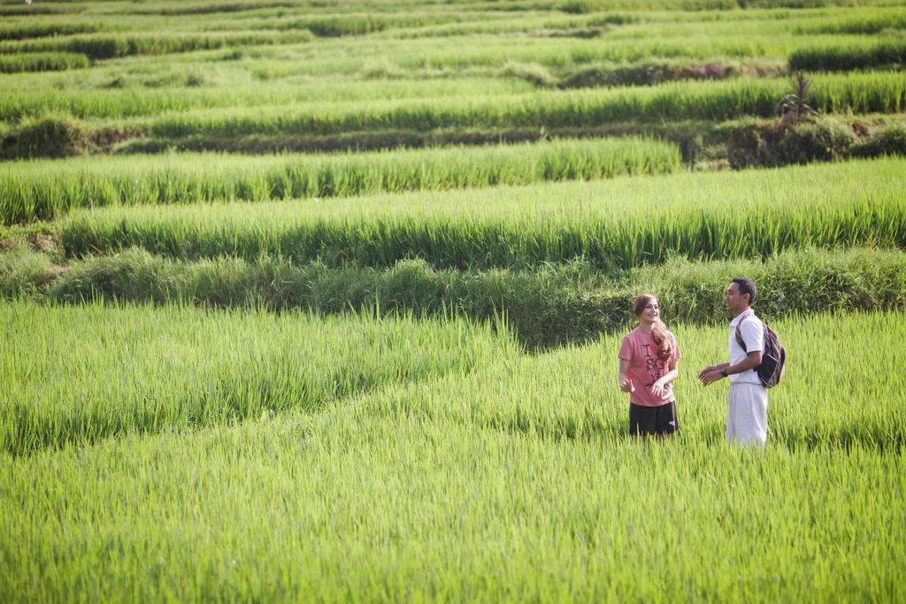 Manyi Village Ubud Eksteriør billede