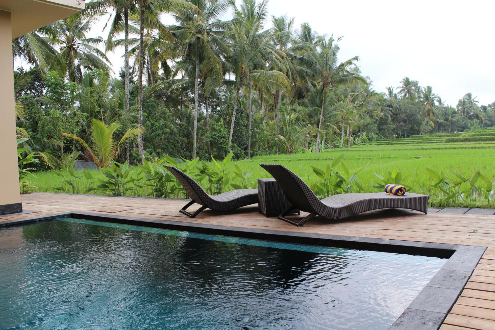Manyi Village Ubud Eksteriør billede