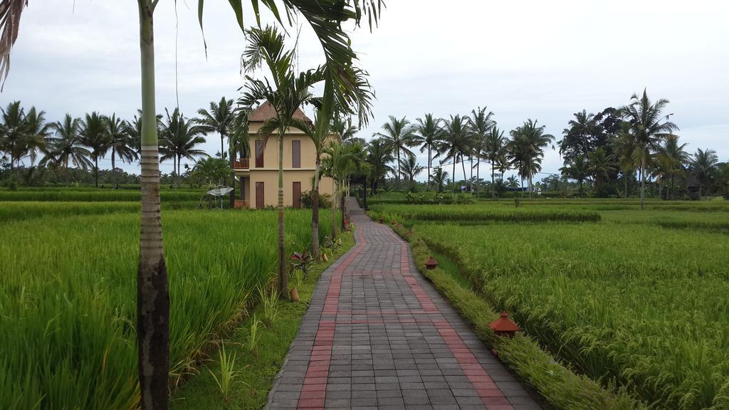 Manyi Village Ubud Eksteriør billede