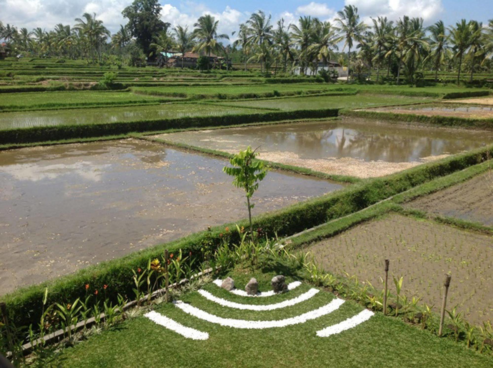 Manyi Village Ubud Eksteriør billede