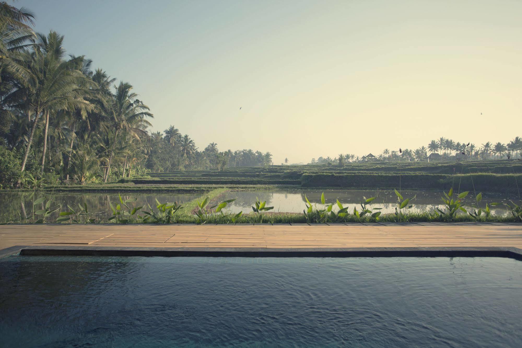Manyi Village Ubud Eksteriør billede